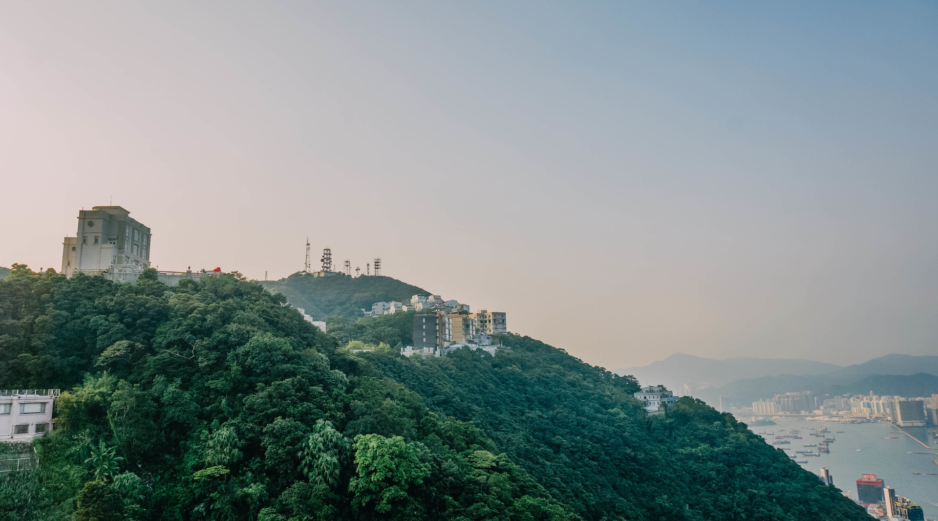 太平山顶封面图