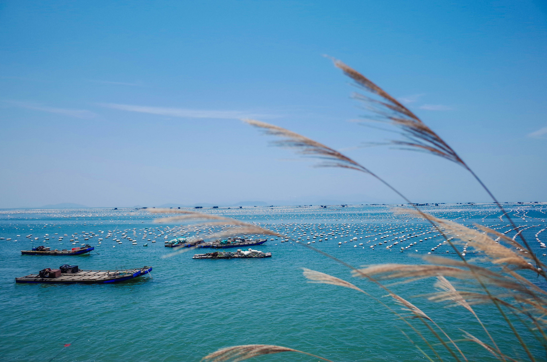 景点封面图