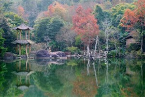 野趣沟封面图