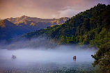 东江湖