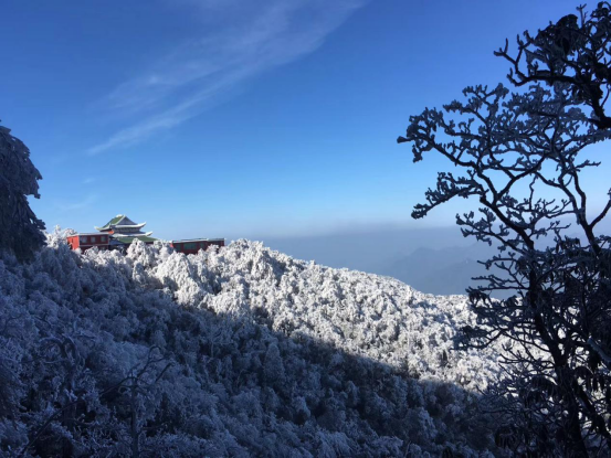 莽山封面图