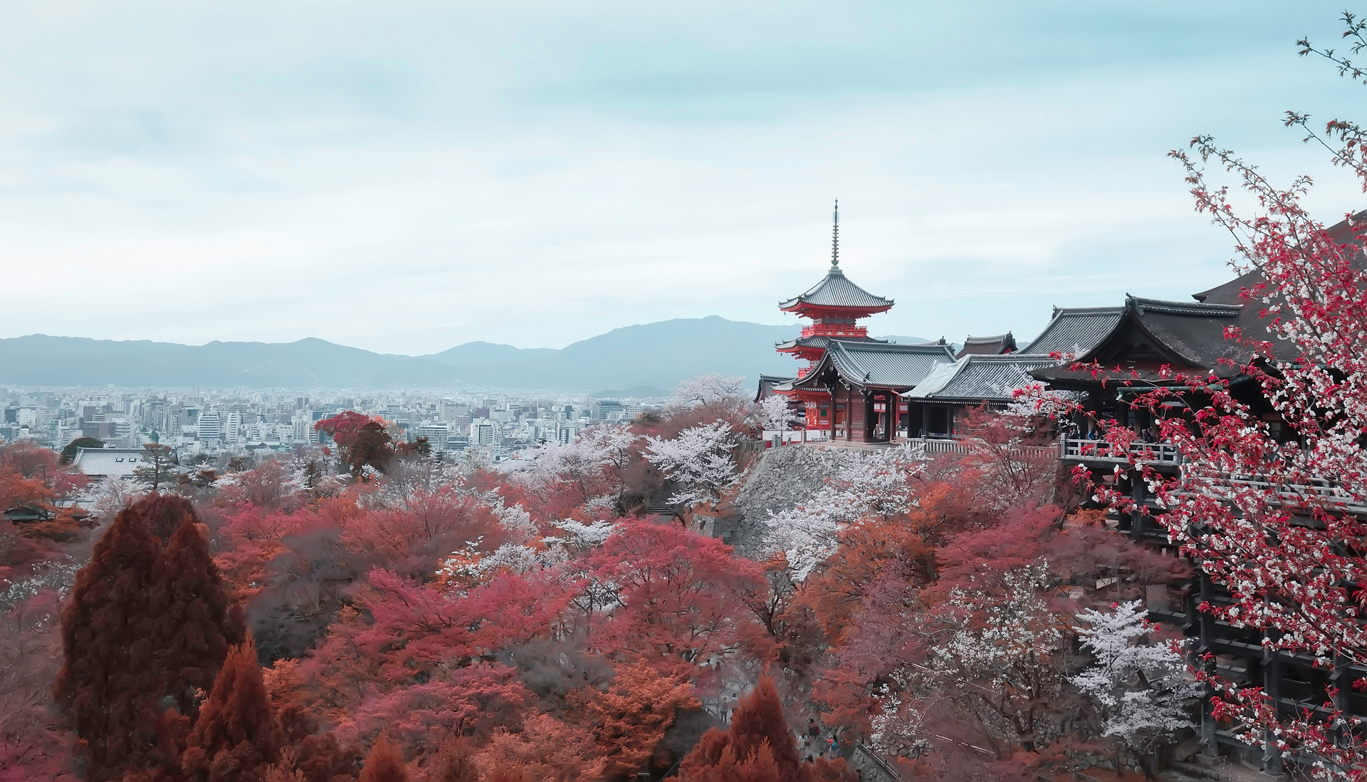 京都封面图
