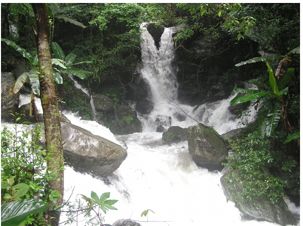 野趣沟风景区封面图