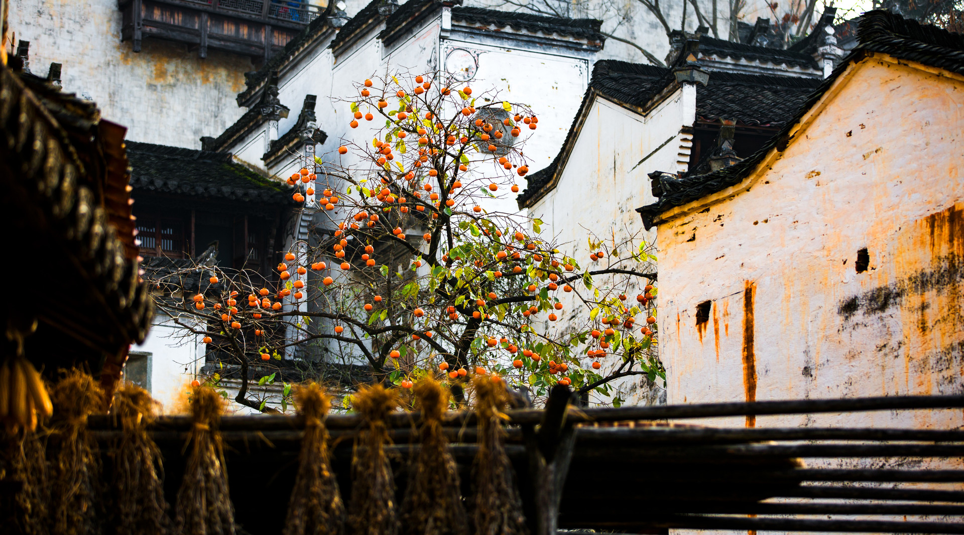 景点封面图