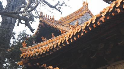 景点：孔府