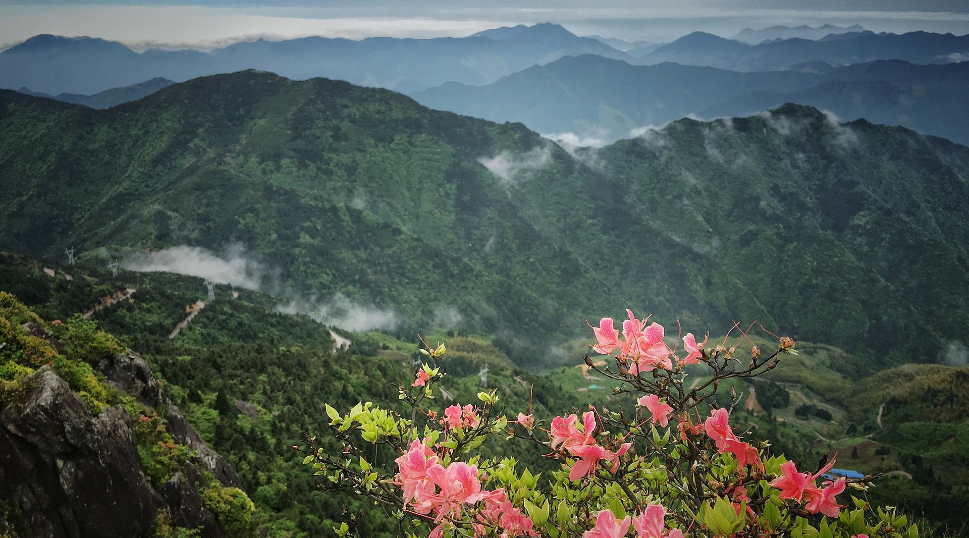 杜鹃山封面图