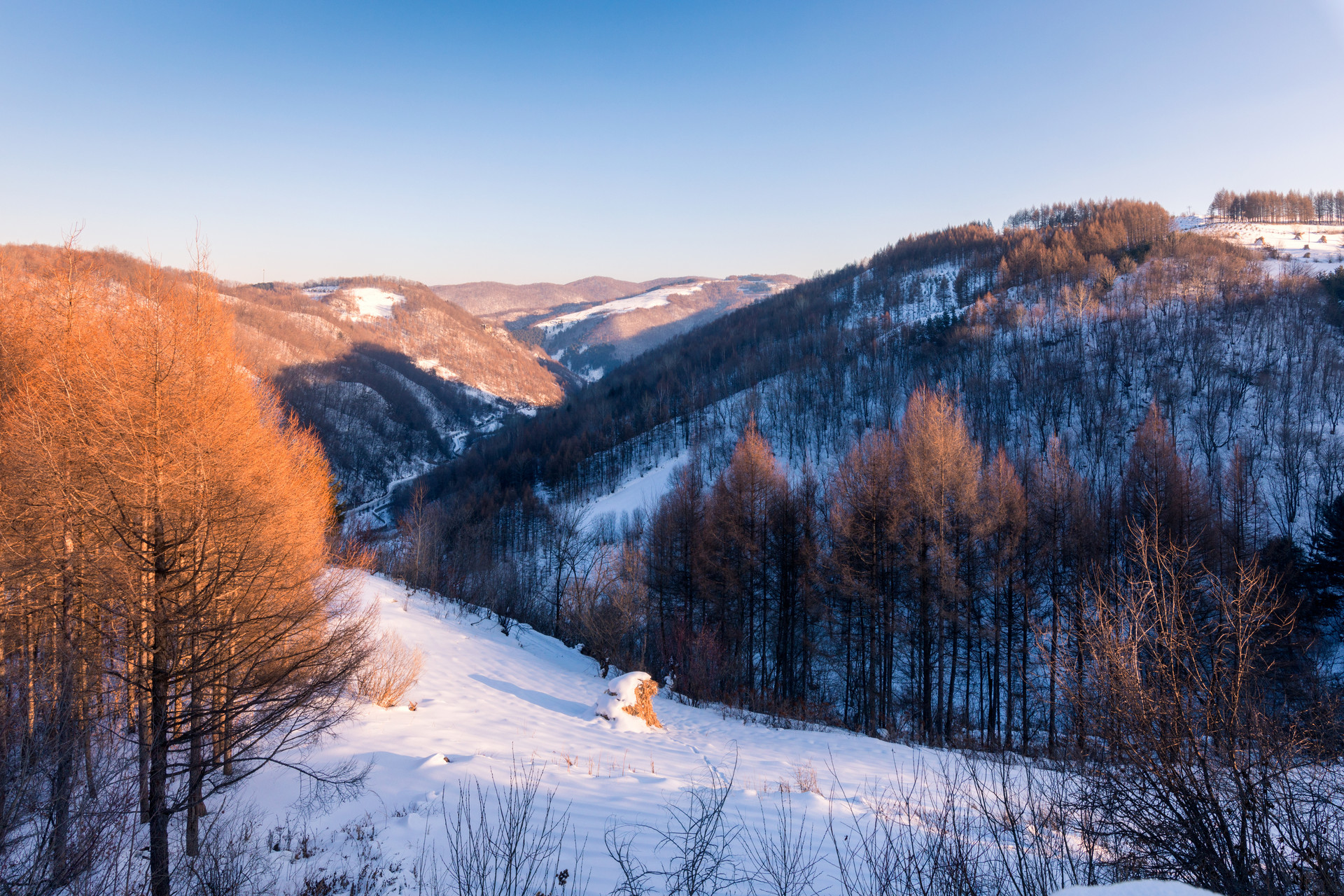 林海雪原封面图