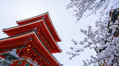 暑期【本州半自助】<本州大阪京都奈良东京富士急亲子半自助六天游>