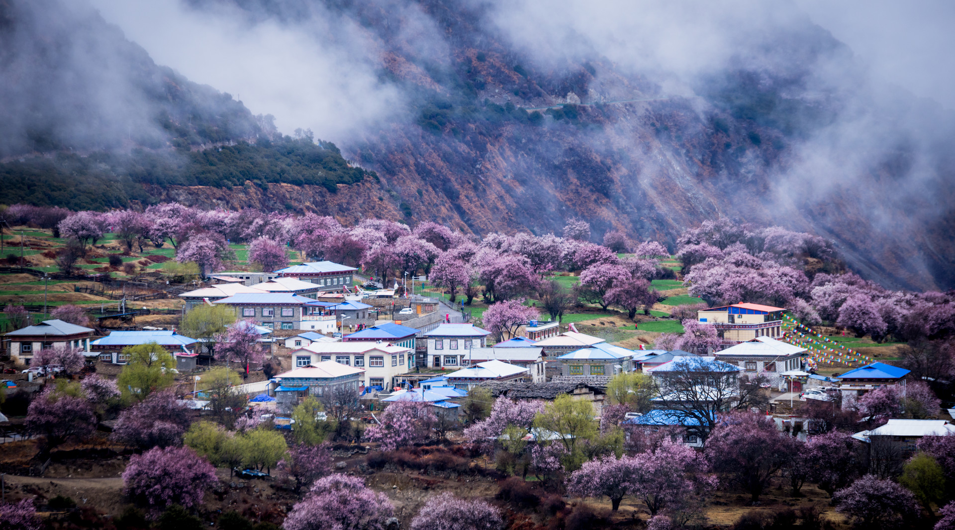 林芝封面图