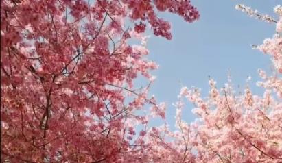 景点：漳平永福?；? /></a>
			                   	<div   id=