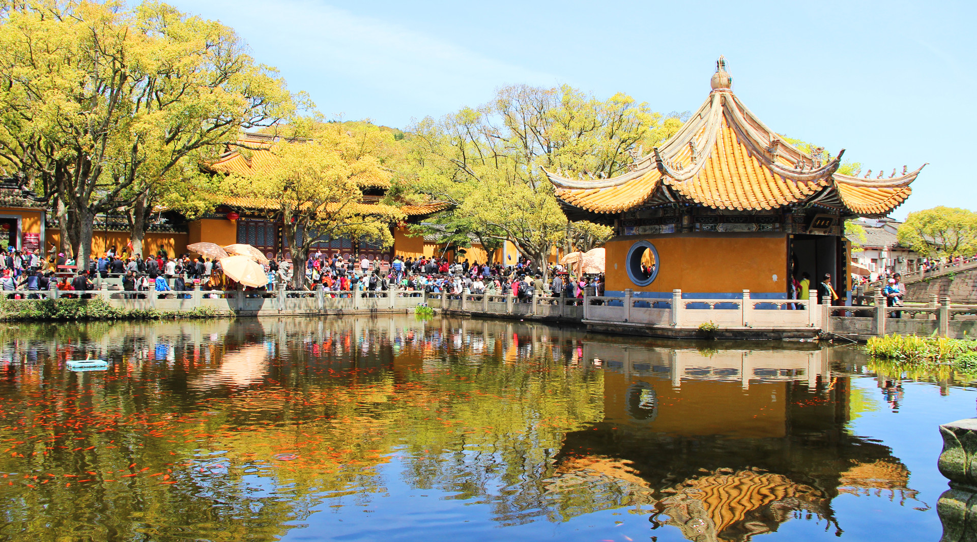舟山普济寺封面图