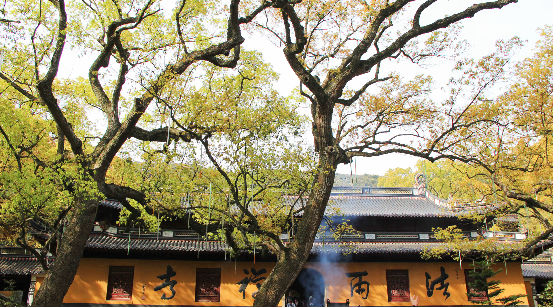 舟山法雨寺封面图