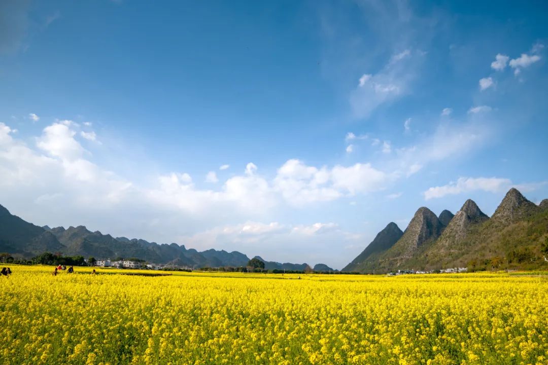 万峰林封面图